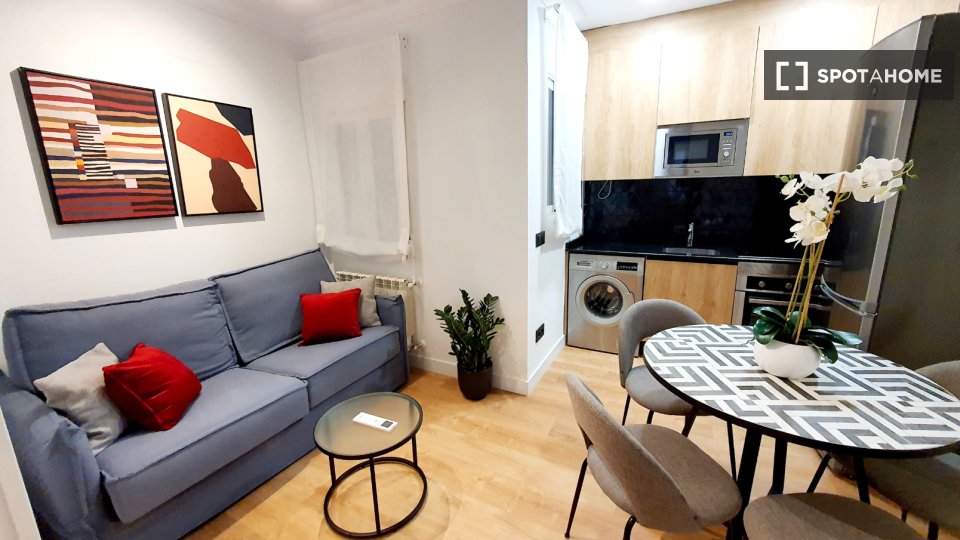 Apartment mono Madrid, 37m² — photo 9
