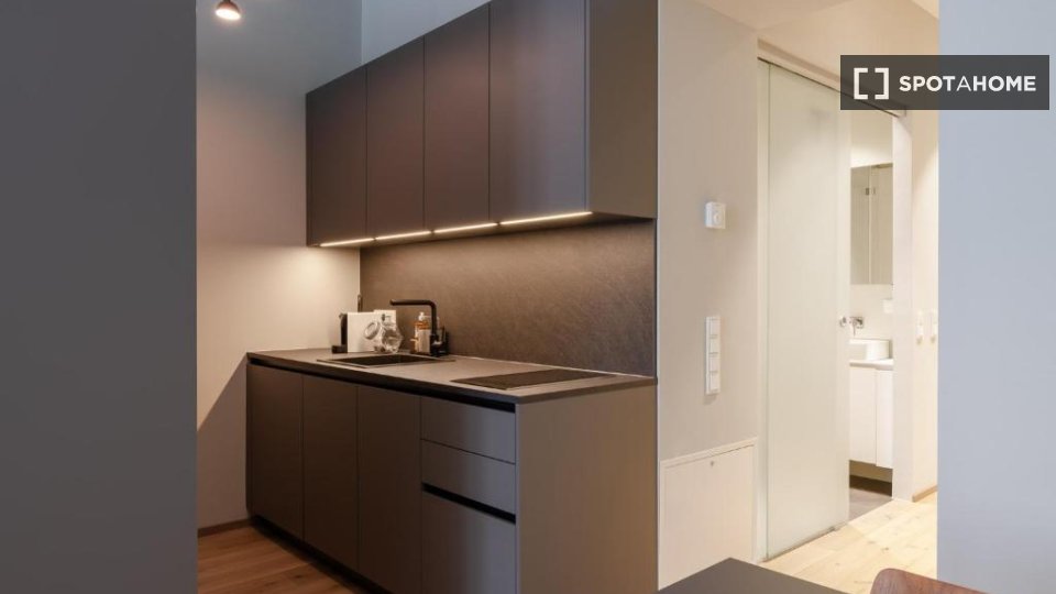 Apartment Vienna, 1 bed — photo 6