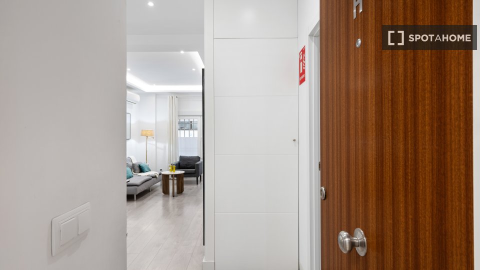 Apartment mono Madrid, 55m² — photo 5