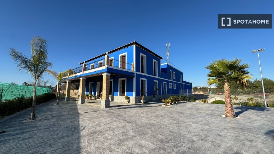 Double room Alicante, 10 beds, 650m² — photo 2