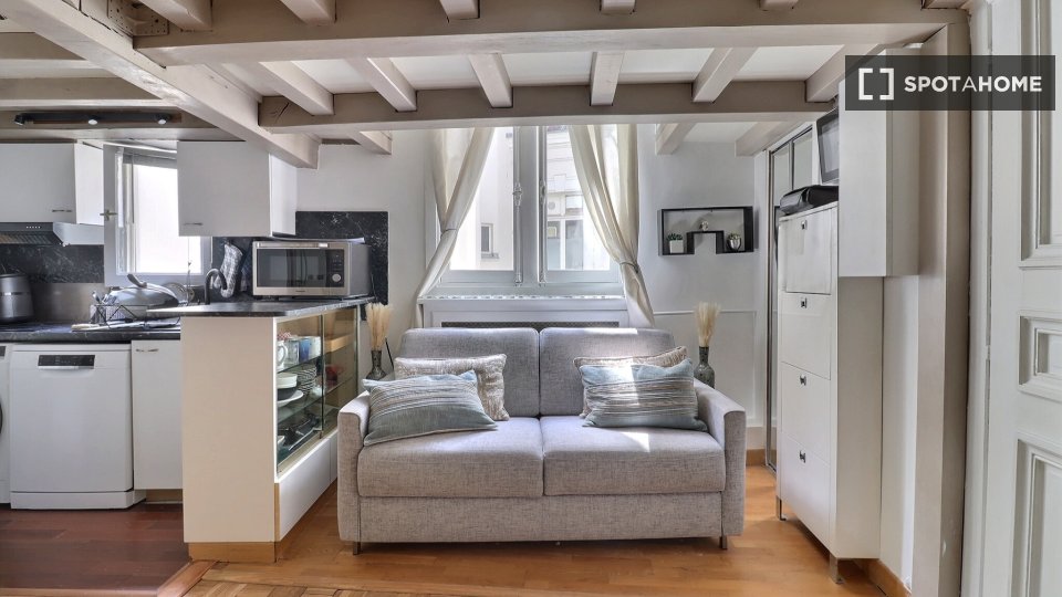 Apartment Paris, 1 bed, 43m² — photo 8