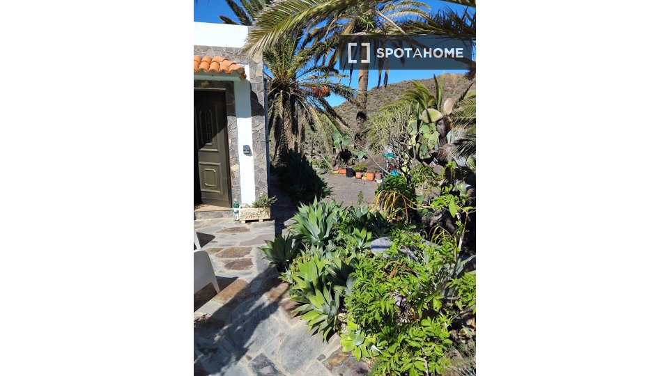 Apartment Santa_Cruz_De_Tenerife, 1 bed, 45m² — photo 29
