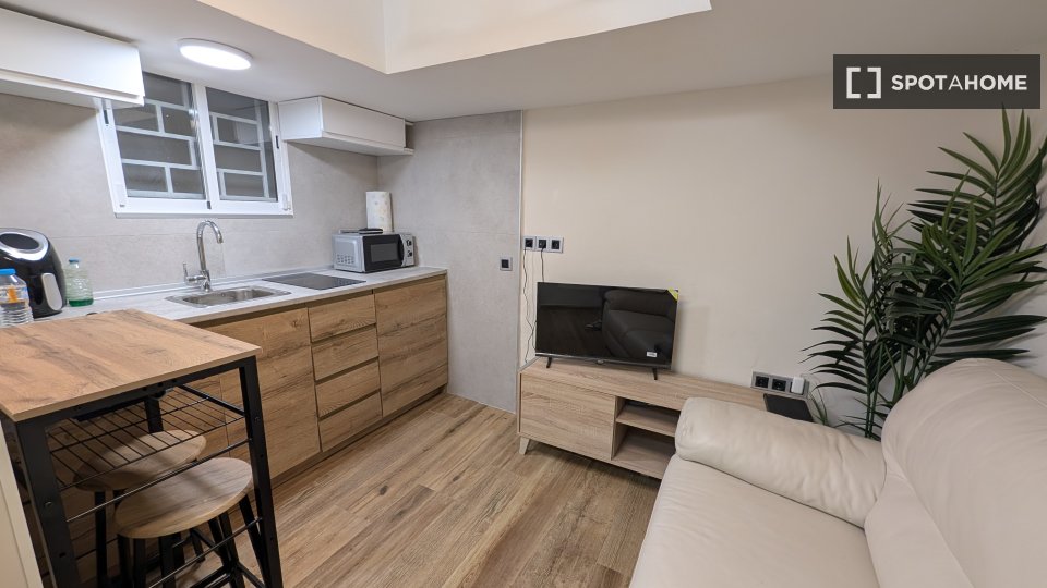Apartment Madrid, 1 bed, 35m² — photo 44