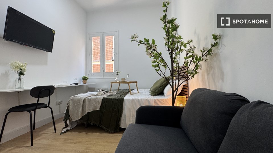 Double room Madrid, 4 beds, 64m² — photo 22