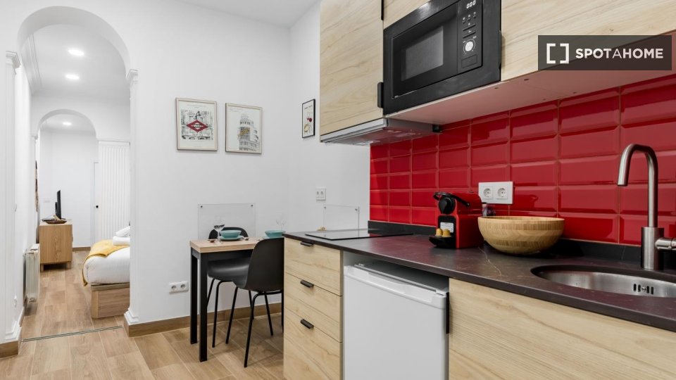 Apartment mono Madrid — photo 2