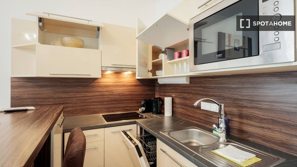 Apartment mono Vienna, 31m² — photo 15