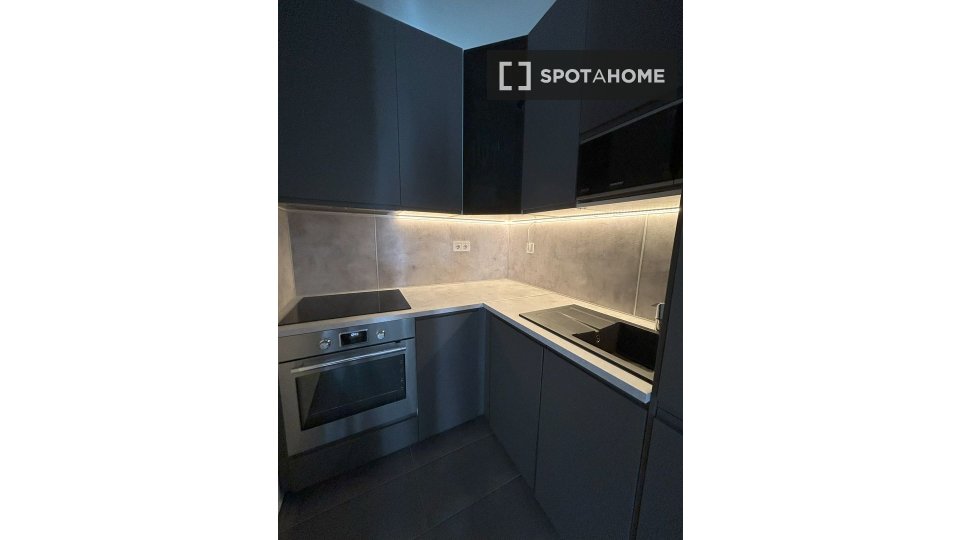 Apartment mono Budapest, 50m² — photo 13