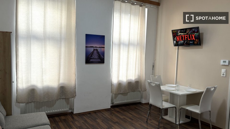 Apartment mono Vienna — photo 5
