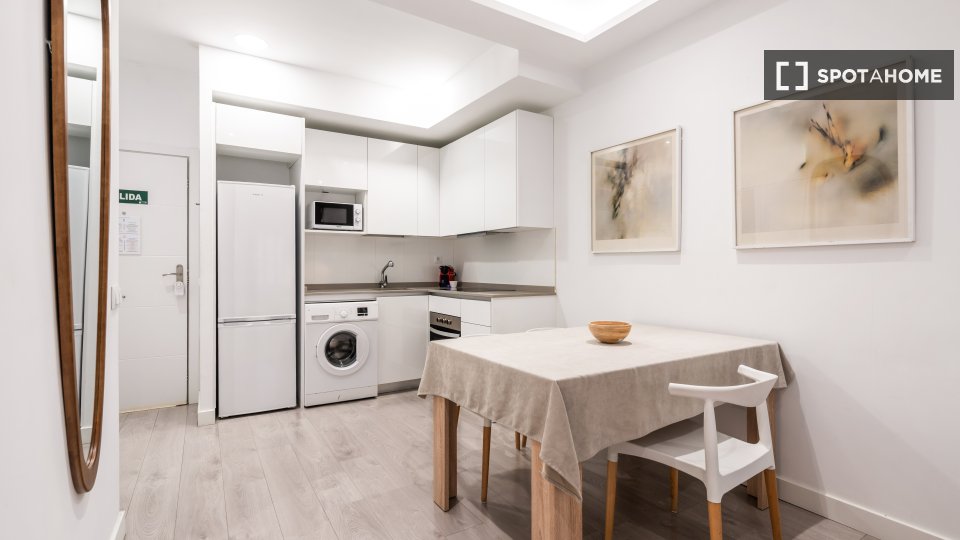 Apartment mono Madrid — photo 16
