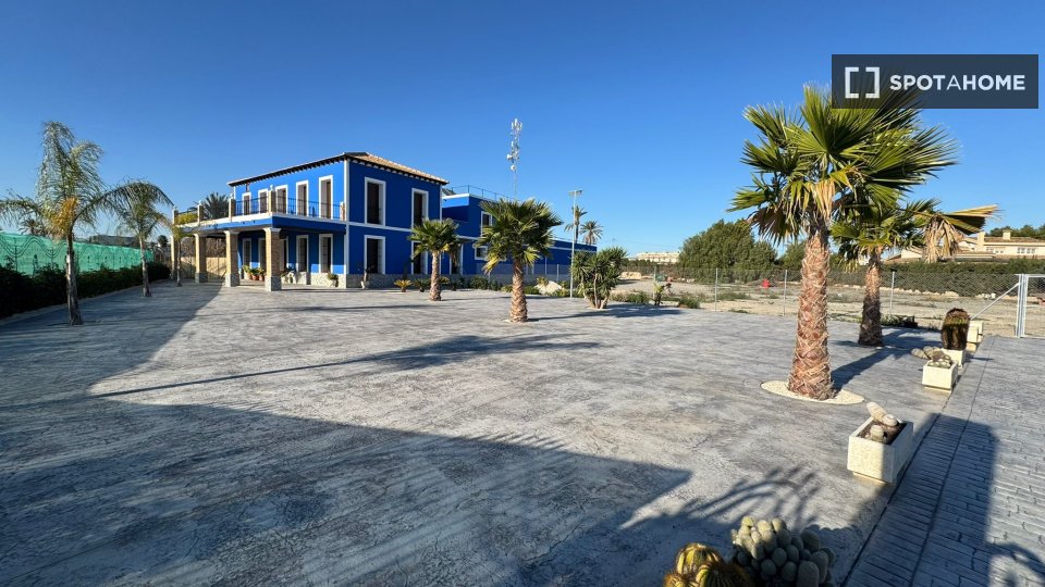 Double room Alicante, 10 beds, 650m² — photo 13
