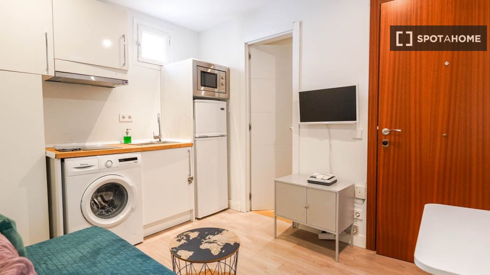 Apartment Madrid, 1 bed — photo 4