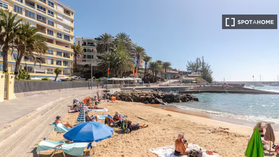 Apartment mono Santa_Cruz_De_Tenerife — photo 34