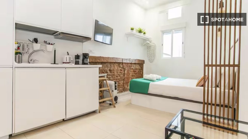 Apartment Madrid, 1 bed — photo 4