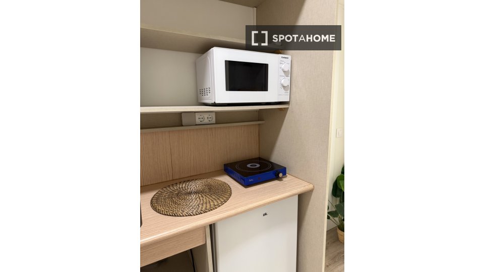 Apartment mono Madrid, 17m² — photo 5