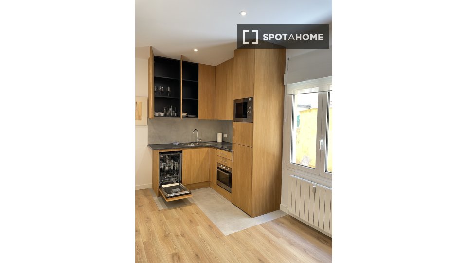 Apartment mono Madrid, 25m² — photo 4