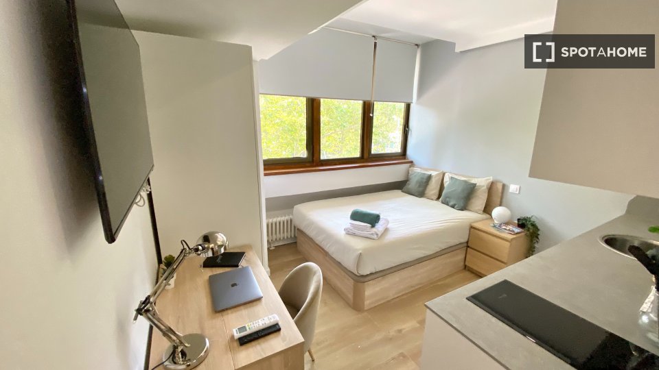 Apartment mono Madrid, 28m² — photo 11