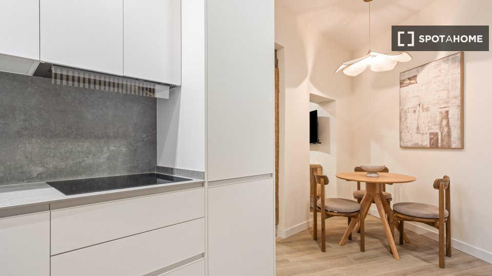 Apartment Madrid, 1 bed, 50m² — photo 15