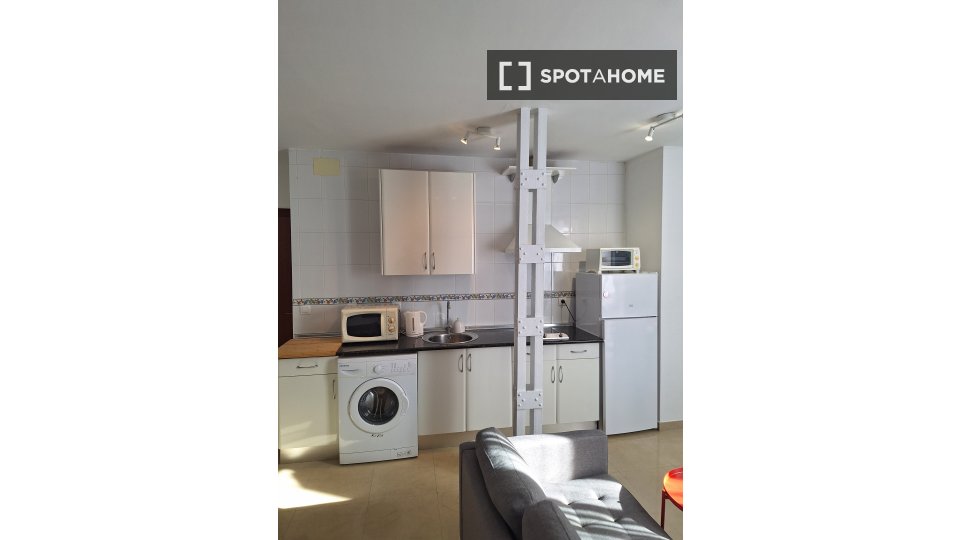 Apartment mono Seville, 45m² — photo 2