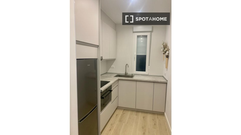 Apartment mono Madrid, 26m² — photo 3