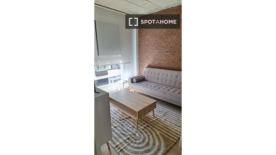 Apartment Madrid, 2 beds — photo 14