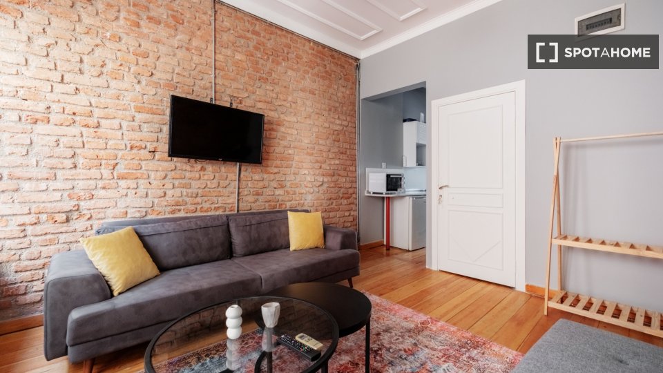 Apartment Istanbul, 1 bed — photo 13