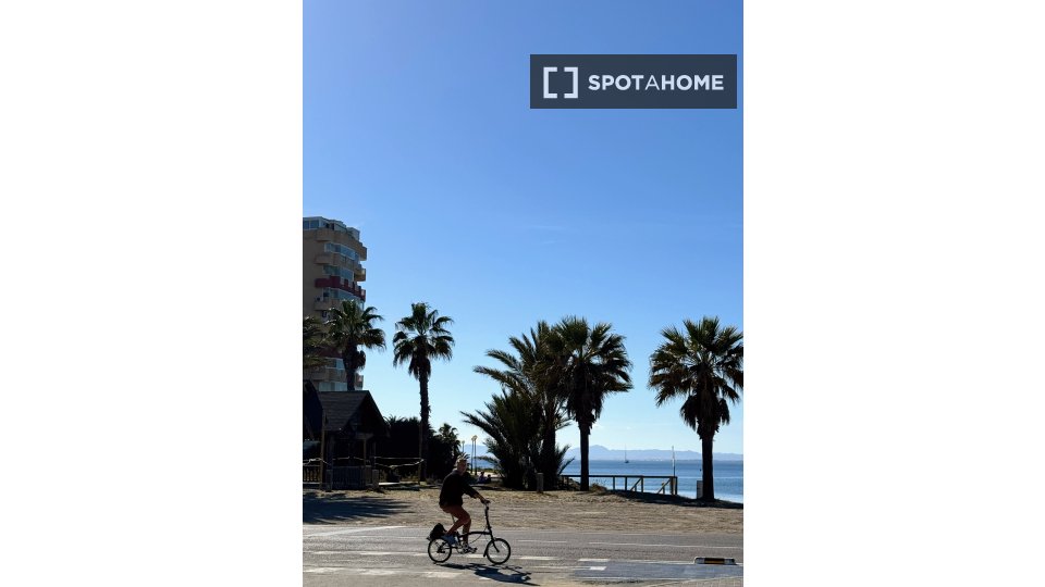 Estudio en alquiler en San Javier, España