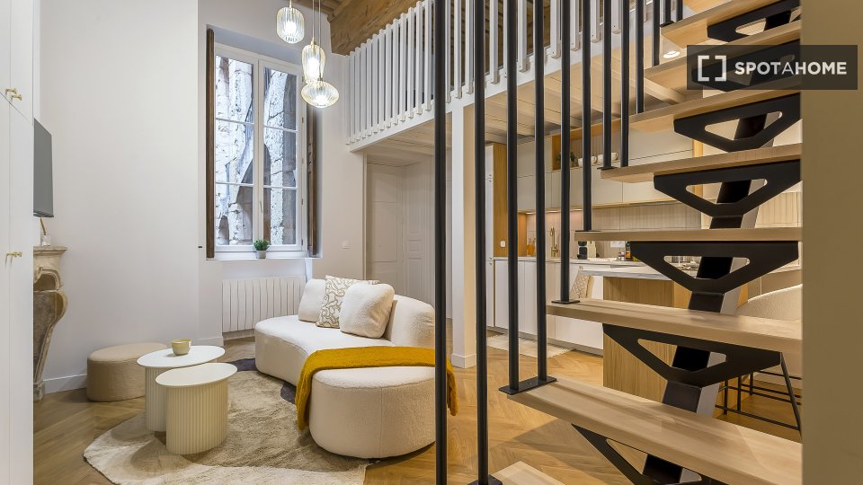 Apartment mono Lyon, 47m² — photo 4