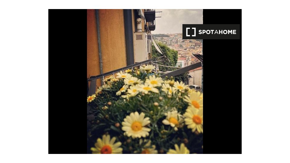 Apartment Naples, 1 bed, 65m² — photo 1