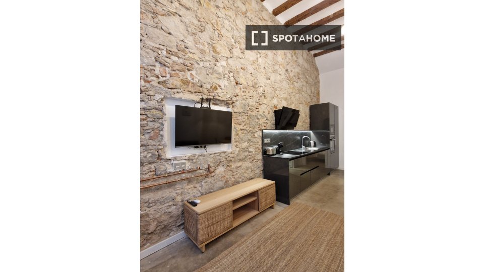 Apartment mono Barcelona, 50m² — photo 9