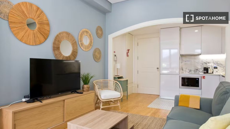 Apartment Porto, 1 bed — photo 3