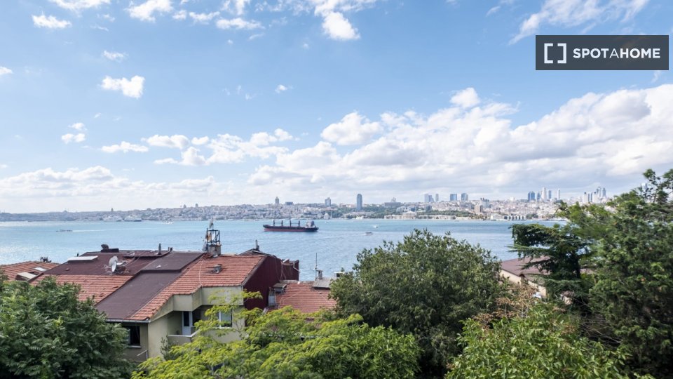 Apartment Istanbul, 1 bed — photo 16