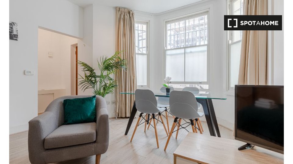 Apartment London, 1 bed — photo 4