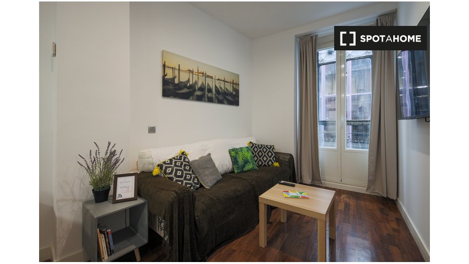 Apartment Madrid, 1 bed — photo 6