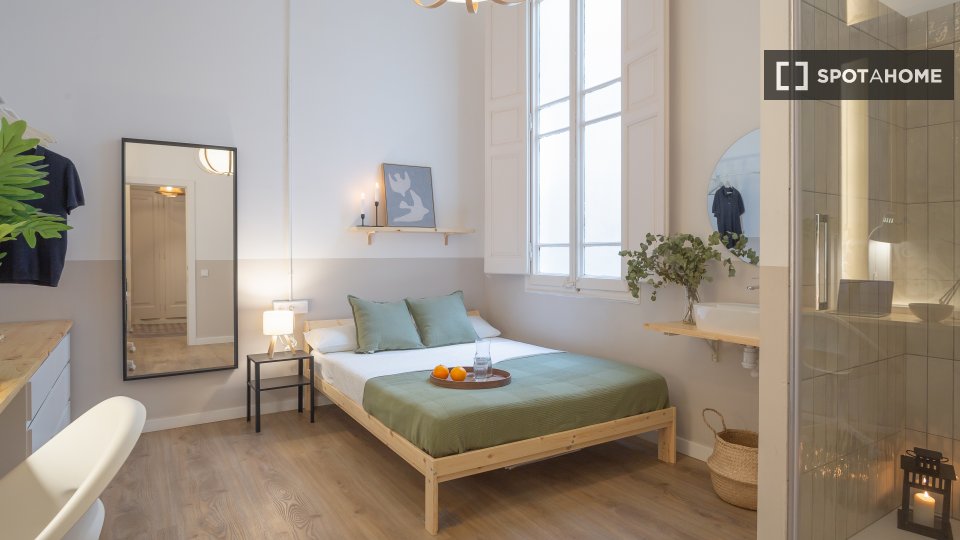 Double room Barcelona, 8 beds, 239m² — photo 3