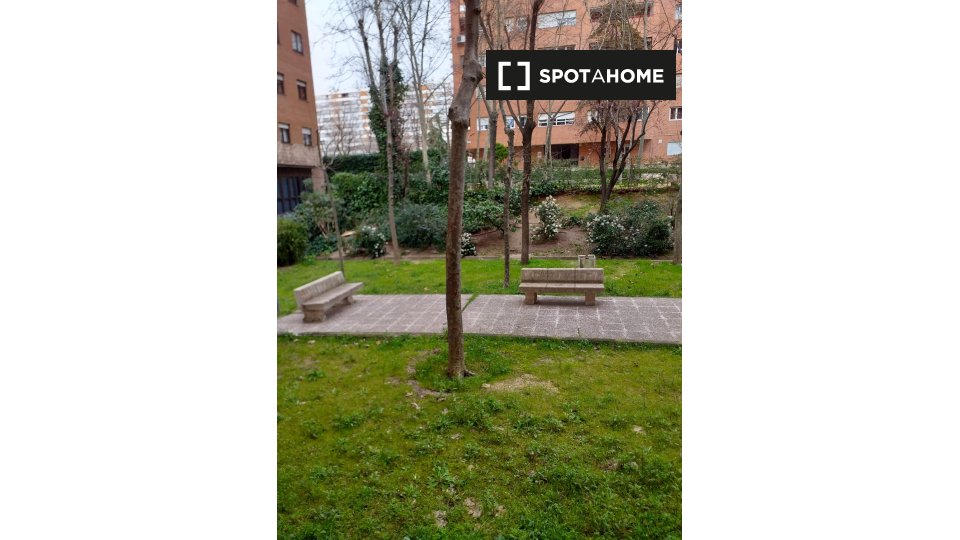 Double room Madrid, 2 beds — photo 16