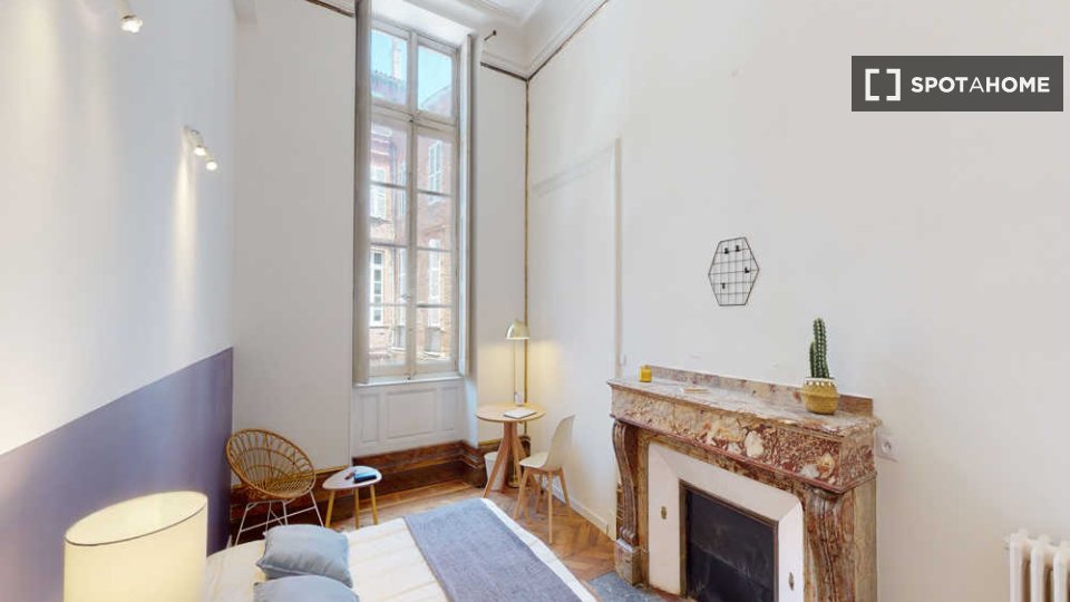 Double room Toulouse, 8 beds, 220m² — photo 2