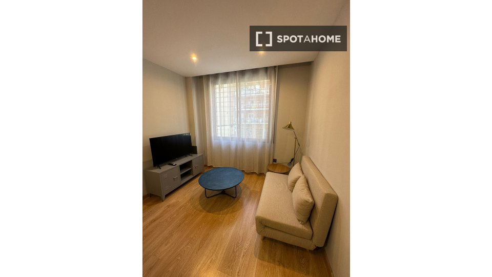Apartment mono Madrid, 50m² — photo 9