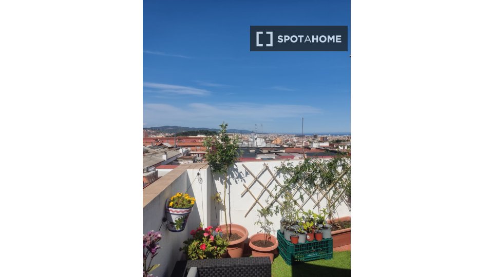 Double room Barcelona, 3 beds — photo 19