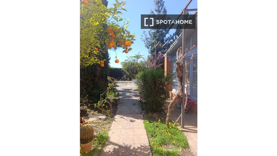 Estudio en alquiler en Salinas, Málaga.