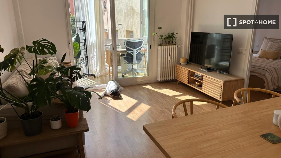 Apartment mono Madrid, 70m² — photo 7