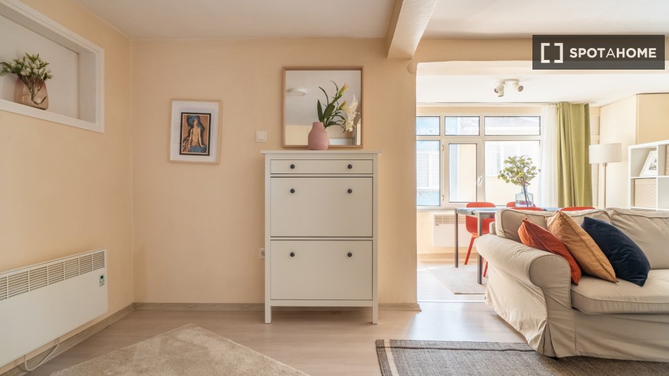 Apartment Istanbul, 1 bed — photo 11