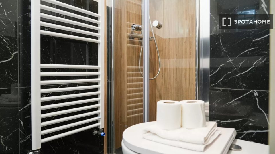 Apartment Turin, 1 bed — photo 10