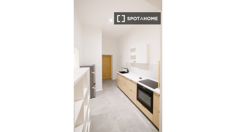 Apartment mono Budapest, 51m² — photo 12