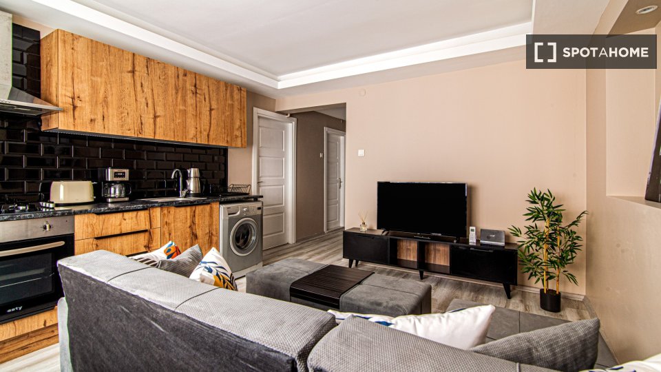 Apartment Istanbul, 1 bed — photo 3