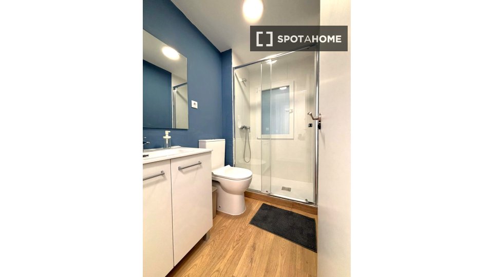 Double room Madrid, 7 beds, 160m² — photo 65