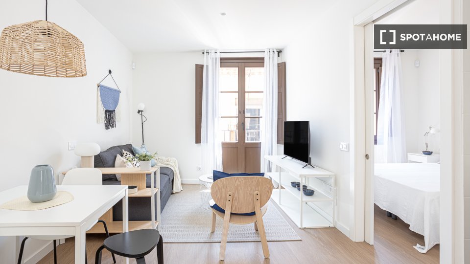 Apartamento entero de 1 dormitorio en barcelona