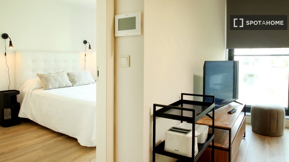 Apartment Porto, 1 bed — photo 5