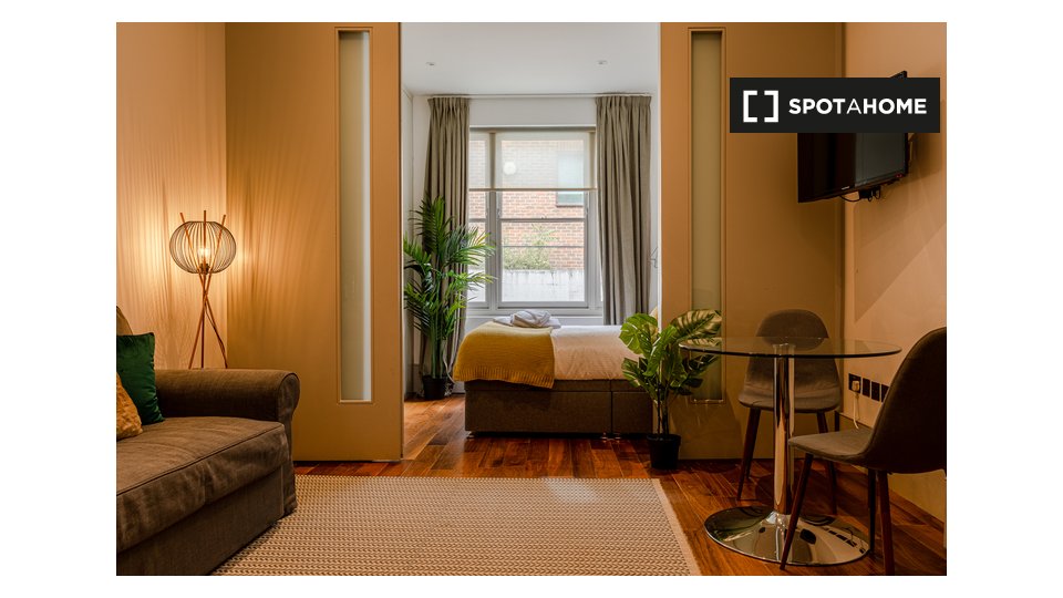Apartment London, 1 bed — photo 22