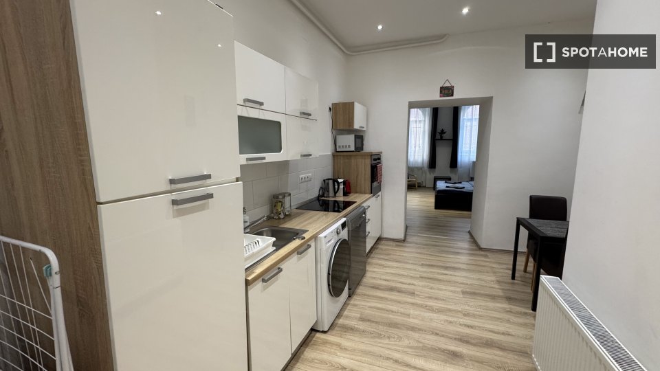 Apartment mono Budapest, 40m² — photo 4