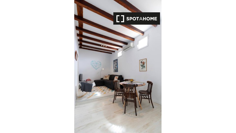 Apartment Madrid, 1 bed — photo 14